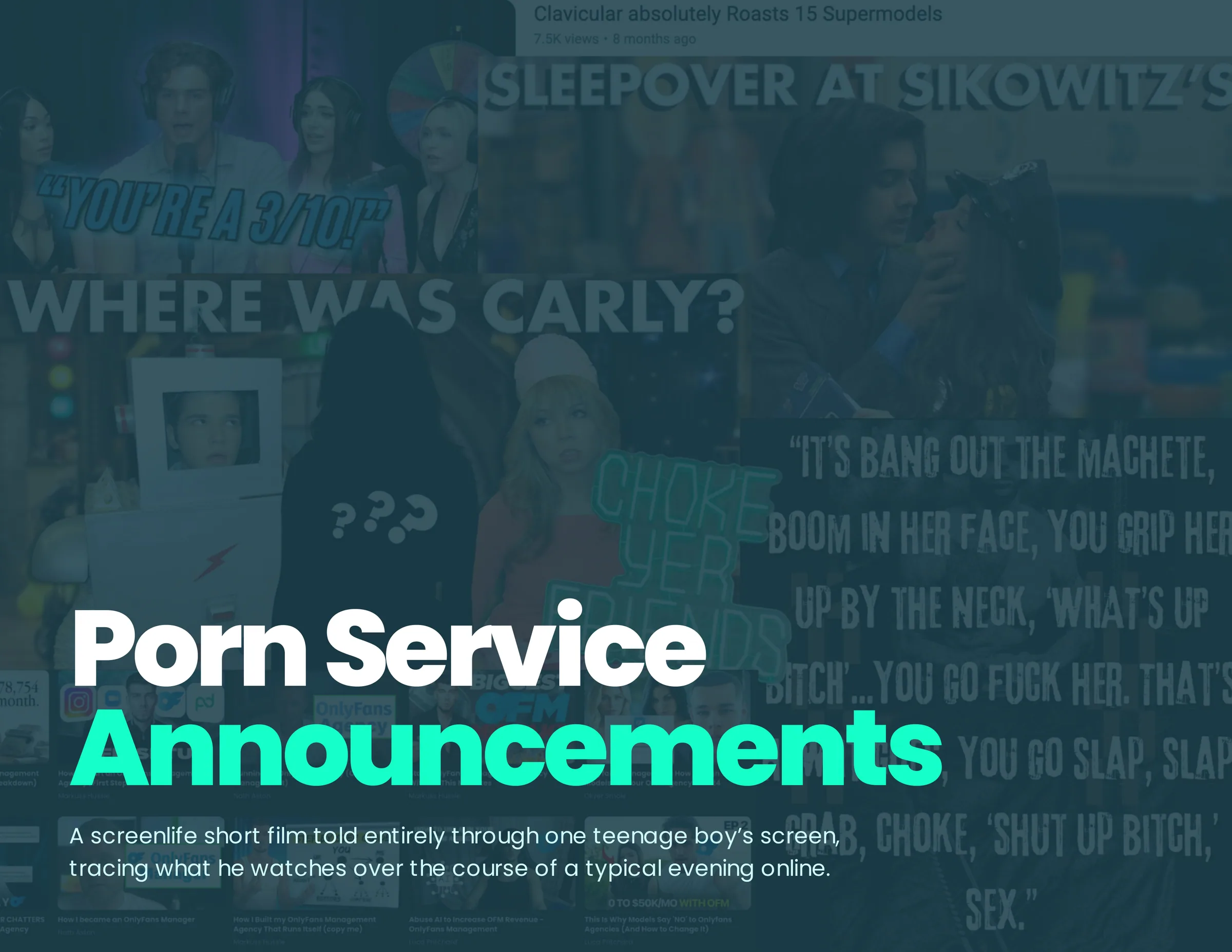 Lookbook cover: Porn Service Announcements